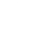 ford logo white